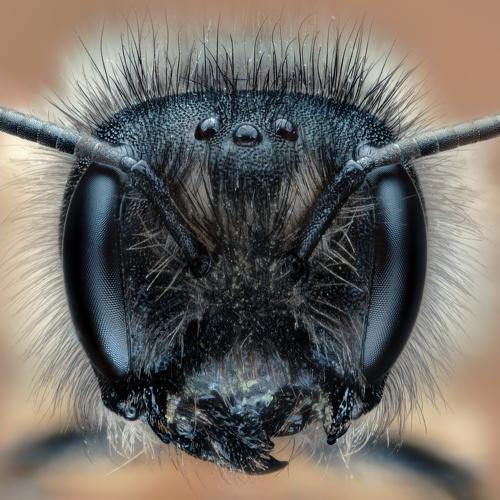 Превью фотографии фотографа Wojciech Grzanka