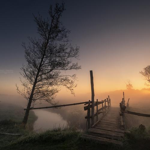 Превью фотографии фотографа Sieku Łukasz