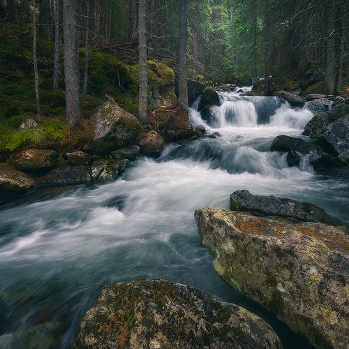 Preview Photographer\'s photo Csomai David