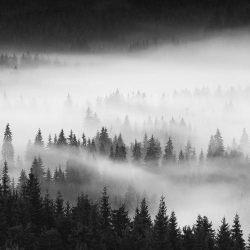 Preview Photographer\'s photo Stefan Chirobocea