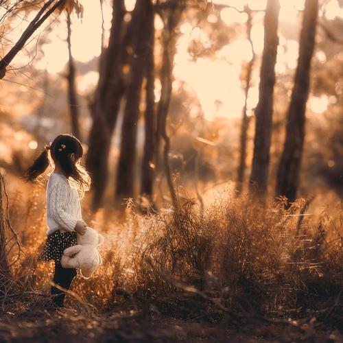 Превью фотографии фотографа Despird Zhang