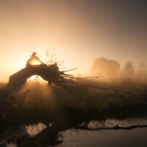 Превью фотографии фотографа Sieku Łukasz