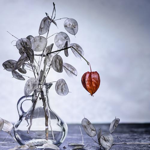 Preview Photographer\'s photo Peter Hennig