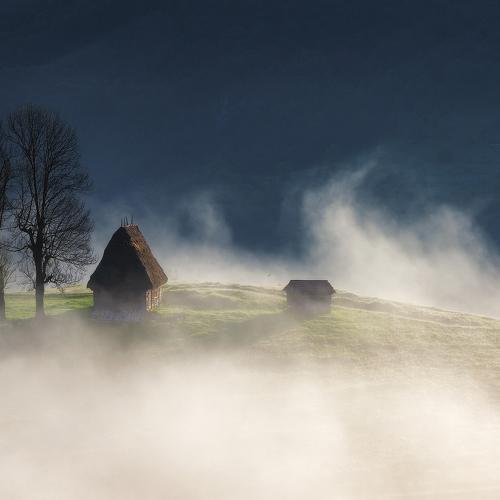 Preview Photographer\'s photo Lazar Ioan Ovidiu