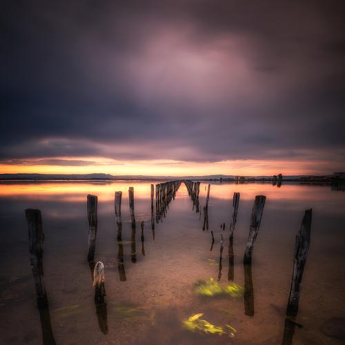 Preview Photographer\'s photo Jeni Madjarova