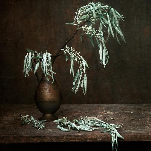 Превью фотографии фотографа Татьяна Аверина