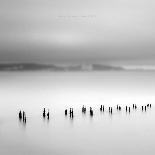 Превью фотографии фотографа FLOP