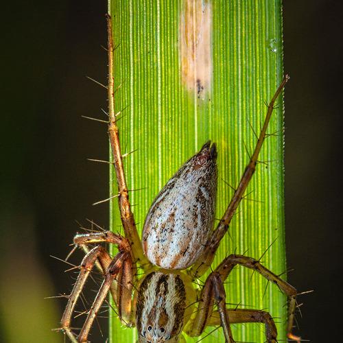 Превью фотографии фотографа Владимир Нейморовец