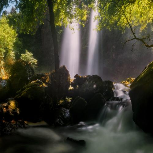 Превью фотографии фотографа Seif Eddine Alaa