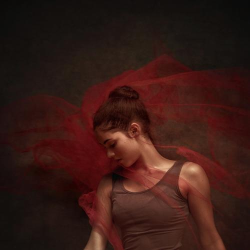 Preview Photographer\'s photo Aleksandar Jovanović