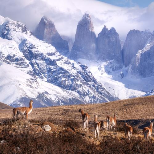 Preview Photographer\'s photo Oleg Rest