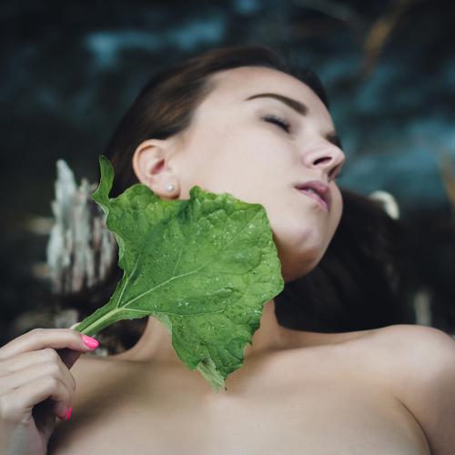 Превью фотографии фотографа Романенко Денис