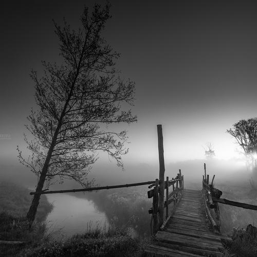 Preview Photographer\'s photo Sieku Łukasz