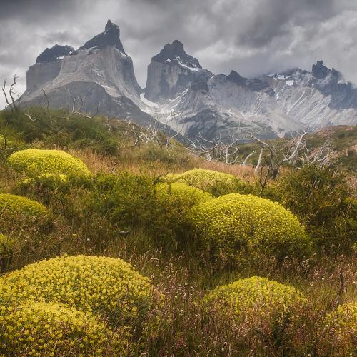 Превью фотографии фотографа Ростовский Антон
