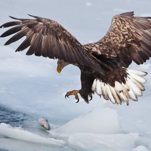 Превью фотографии фотографа Евгений Слободской