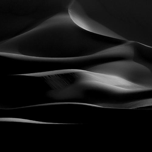 Превью фотографии фотографа Reza Mohammadi