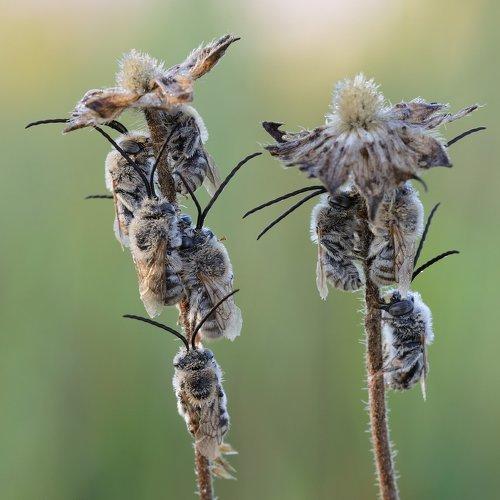 Preview Photographer\'s photo Сергей Голубенко