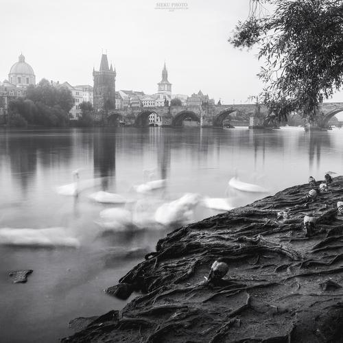 Preview Photographer\'s photo Sieku Łukasz