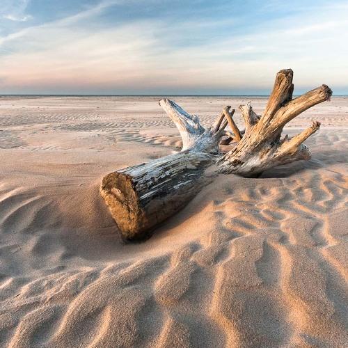 Превью фотографии фотографа Eriks Zilbalodis