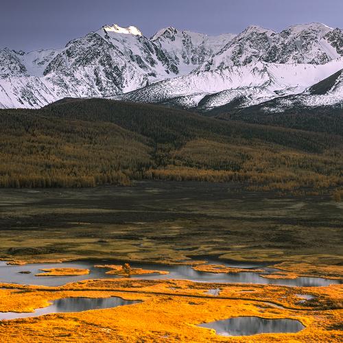 Превью фотографии фотографа Евгений Шестаев