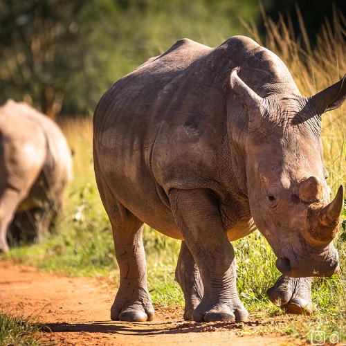 Preview Photographer\'s photo Лозицкий Александр