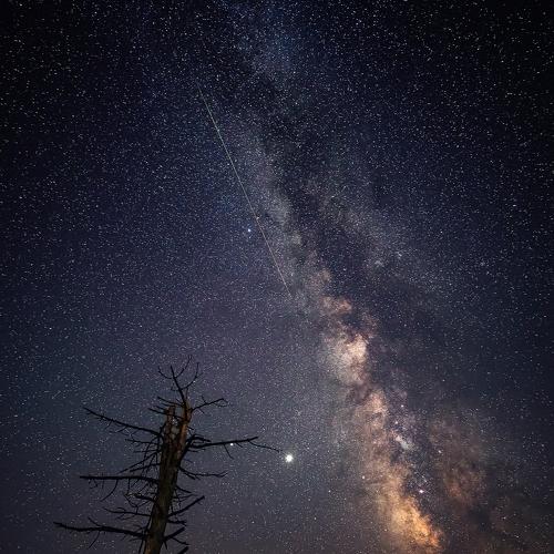 Preview Photographer\'s photo Маджаров Костадин