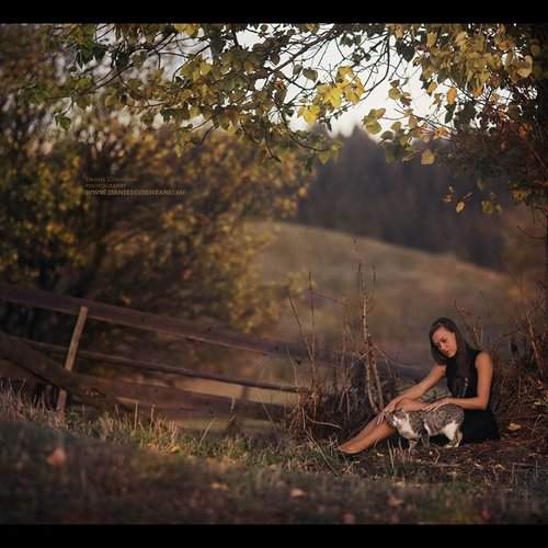 Preview Photographer\'s photo CDaniel Daniel