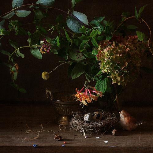 Preview Photographer\'s photo Рита Гончаренко