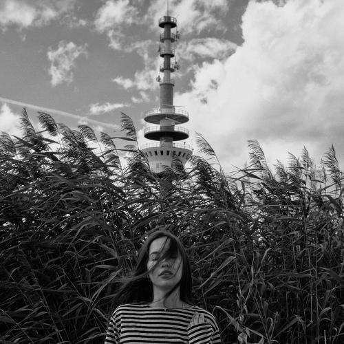 Превью фотографии фотографа Алексей Осипов