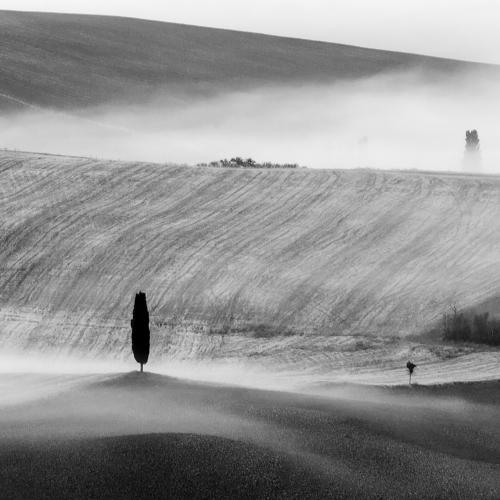 Preview Photographer\'s photo Igor Sokolovsky