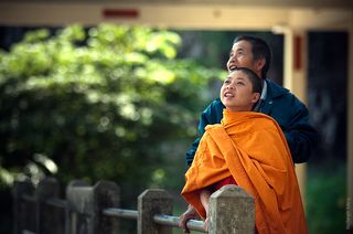 Молодой монах и его друг смотрят как спариваются обезьяны.