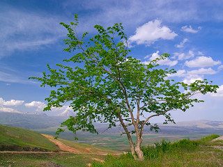 Местечко, где по одной из легенд остановился после всемирного потопа Ноев Ковчег.