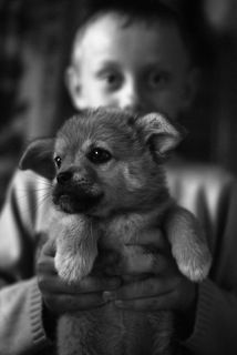 я в надежных руках..