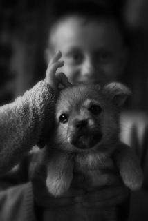 ..ну зачем же рожки ставить...??