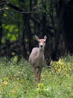 Не может быть...