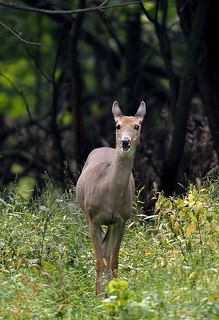 Ух не фига себе...