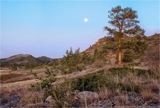03. Солнце ещё не встало, теней нет.