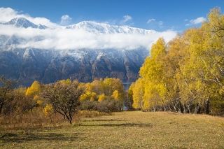 Удивительно, какой мощный микроклимат на юге Телецкого озера. Природа, такое ощущение, сама оберегает, греет это место... В октябре кругом уже снег, причем, что южнее, что севернее... А тут - яблоки и плюс 15!