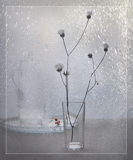 Апреля звонкая капель...