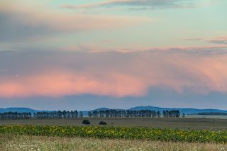 Над полями маленьких солнц...