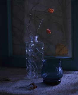 Осень за окном и смутный силуэт сороки...