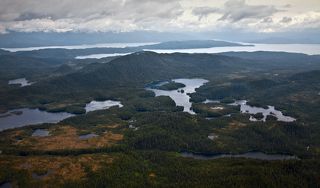 2. Город окружён крупнейшим в Штатах Национальным заповедником Тонгасс.