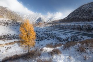 На Алтае много красивых мест, дойти до которых от трассы можно очень легко и быстро. Этот одинокий \