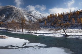 Чуть южнее... Цвет у лиственниц, конечно уже сильно бурый, и нужно много солнца, чтобы зажечь их...