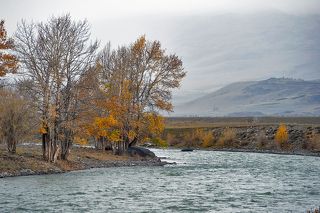 01 Самый дождливый день в нашей поездке по Горному Алтаю  случился в Курайской степи. Монотонный осенний дождь и серые облака как будто говорили: всё так и будет до вечера...