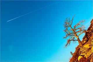 02. 14 сентября 2011 г. 6:48. Самалёт!
Без значительных проблем мы добрались до гор Кент, что в районе города Каркаралинска в Карагандинской области Казахстана. После заката мы развернули свой лагерь на стоянке археологов, которые, закончив очередной сезон раскопок, отчалили в Караганду. Утром как обычно мы выдвинулись на фотосессию.

Справка. Центральный Казахстан был одним из основных районов становления и развития андроновских племен. Скопление различных памятников этого периода на сравнительно ограниченной территории, их внешний вид, техника сооружения, уровень производства свидетельствуют о высокоразвитой культуре, которую можно назвать классической андроновской. Именно носители андроновской культуры стали основным населением казахских степей в эпоху бронзы. В Карагандинской области выявлены поселения андроновцев и более 500 курганов, датирующихся эпохой бронзы и ранних кочевий.