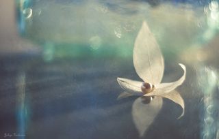 одинокие странники (гелиос)