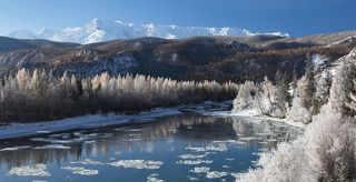 Еще накануне вечером все было плохо: пасмурно, серое небо, тепло... противный мелкий снежок... Но на утро прояснилось, подморозило... и вуаля: лиственницы по берегам Чуи заискрились серебром... Все поменялось, от бурого и желтого не осталось и следа. Через пару часов вся эта красота исчезла...