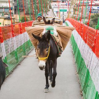 Ежеутренний переход по мосту через Гангу. Ришикеш