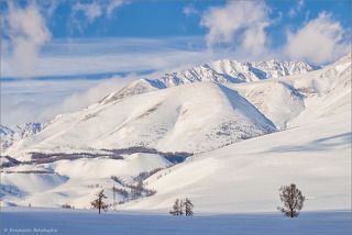 Курайский хребет